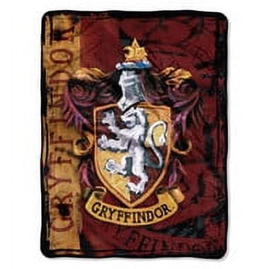 Warner Bros Harry Potter Throw, Battle Flag, 46x60, Micro Raschel, 100% Polyester, 1 Each