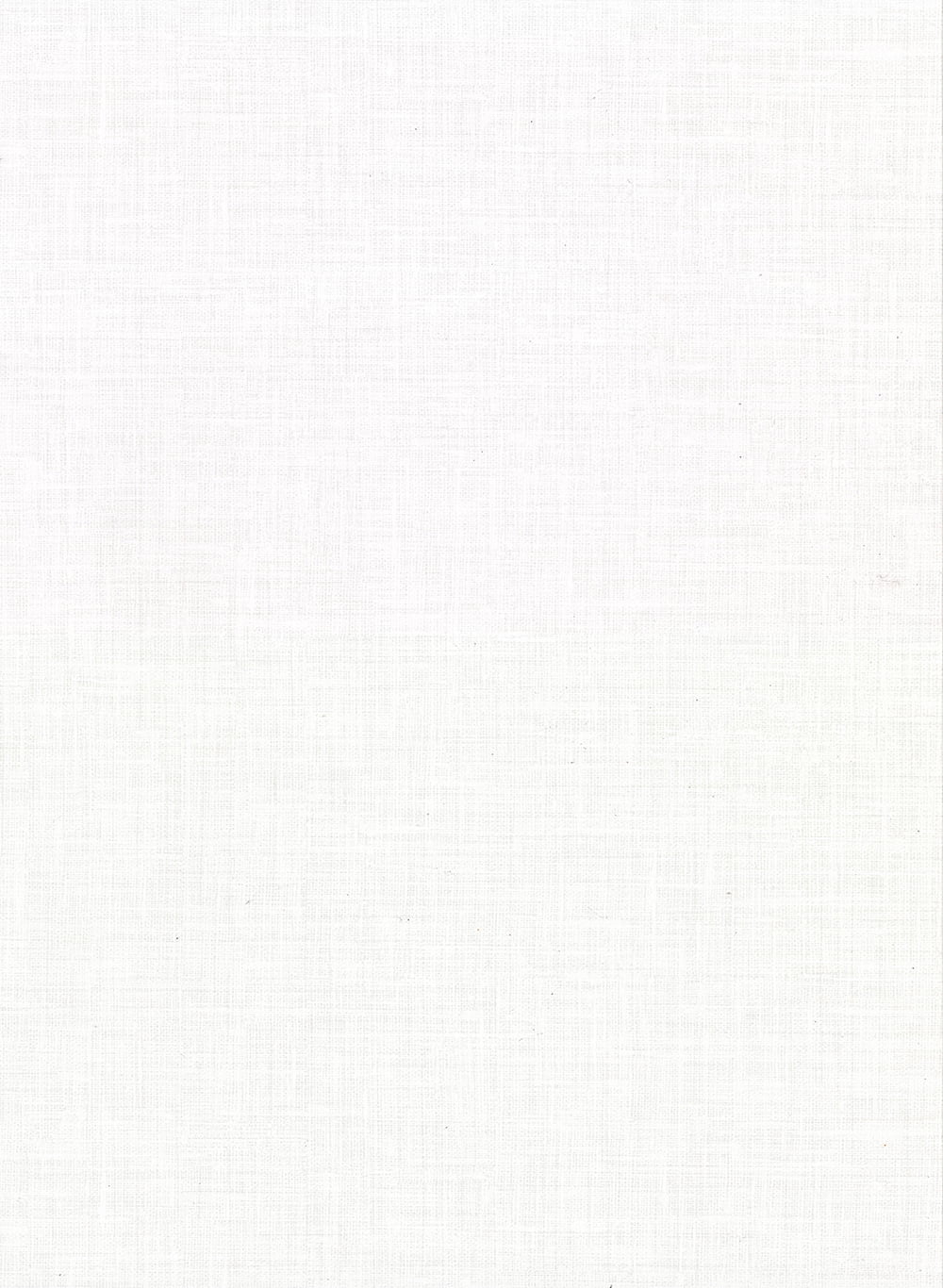 Warner Caviar Beige Basketweave Wallpaper