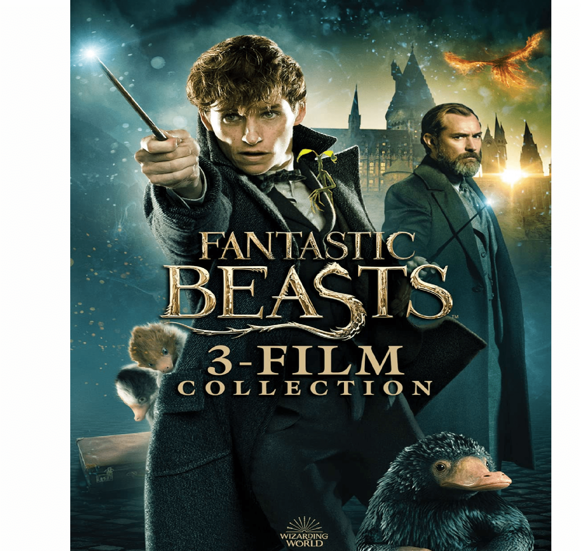 Warner Home Video Fantastic Beasts 3-Film Collection (DVD)