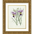 thumbnail image 1 of Warner, Robert 19x24 Gold Ornate Wood Framed with Double Matting Museum Art Print Titled - The Orchid Album Plate 475, 1 of 4