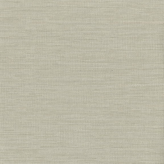 Warner Textures Giana Beige Horizontal Silk Wallpaper