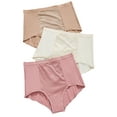 thumbnail image 1 of Warner's Womens Tummy Smoother Brief 3-Pack Style-RS4433P, 1 of 3