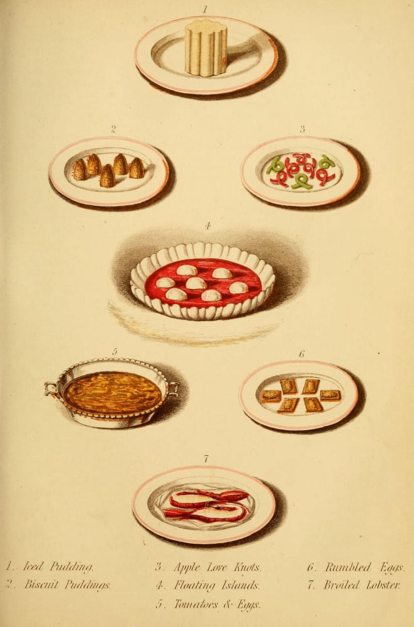 Warnes Model Housekeeper 1882 Puddings & More Canvas Art - (24 x 36)