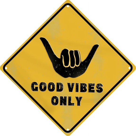 Funny My Lady Skull Bathroom Wall Art Decor Metal Tin Sign Retro Medieval Themed Home Room Rustic Toilets Vintage Posters Skull Enthusiast Novelty Gifts Weird Decor 8x12 in