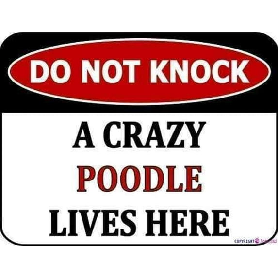 Warning Plaque Do Not Knock A Crazy Poodle Lives Here Sign Courtyard Decoration, For Outdoor & Indoor 8 X 12 Inch