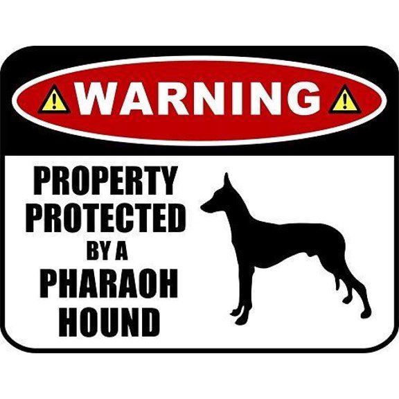 Warning Property Protected by a Pharaoh Hound (Metal Sign) Dog Sign Size: 8 x 12 Inch
