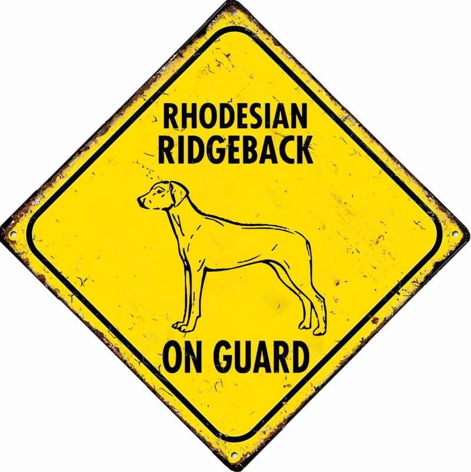 Ridgebacks Bar Warning Rhodesian Ridgeback On Guard Funny Vintage Decor For Home Bar ...