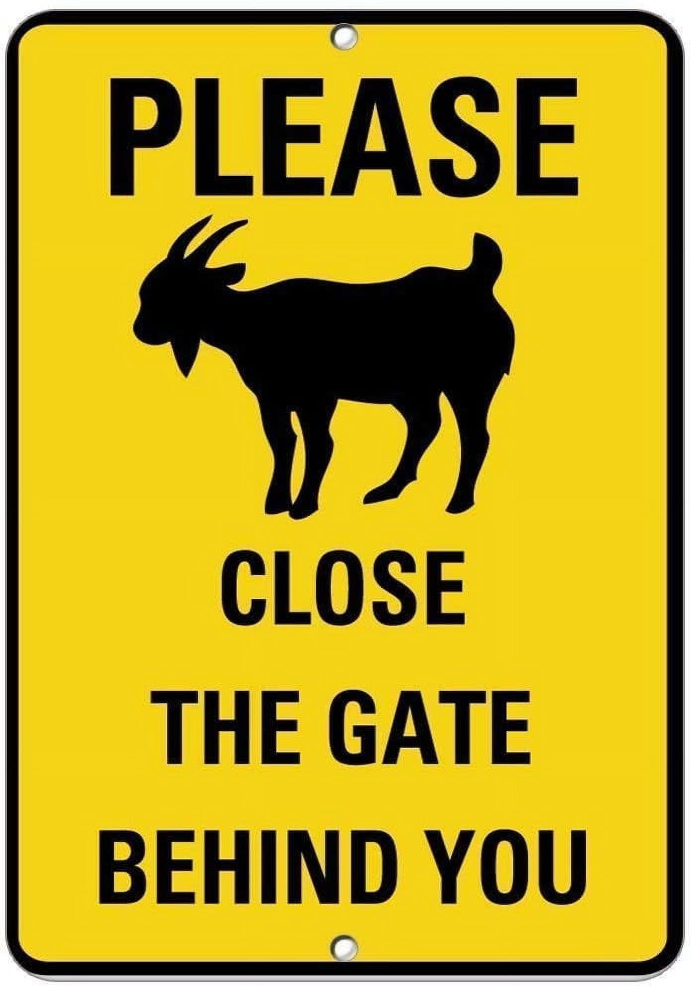 Warning Sign Speed Limit 5MPH Slow Down Pets at Play Dog Cat Turtle ...