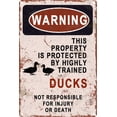 thumbnail image 1 of Warning This Property is Protected by a Highly Trained Ducks Tin Sign Signs Beware Of Yard Sign 8×12 Inch, 1 of 5