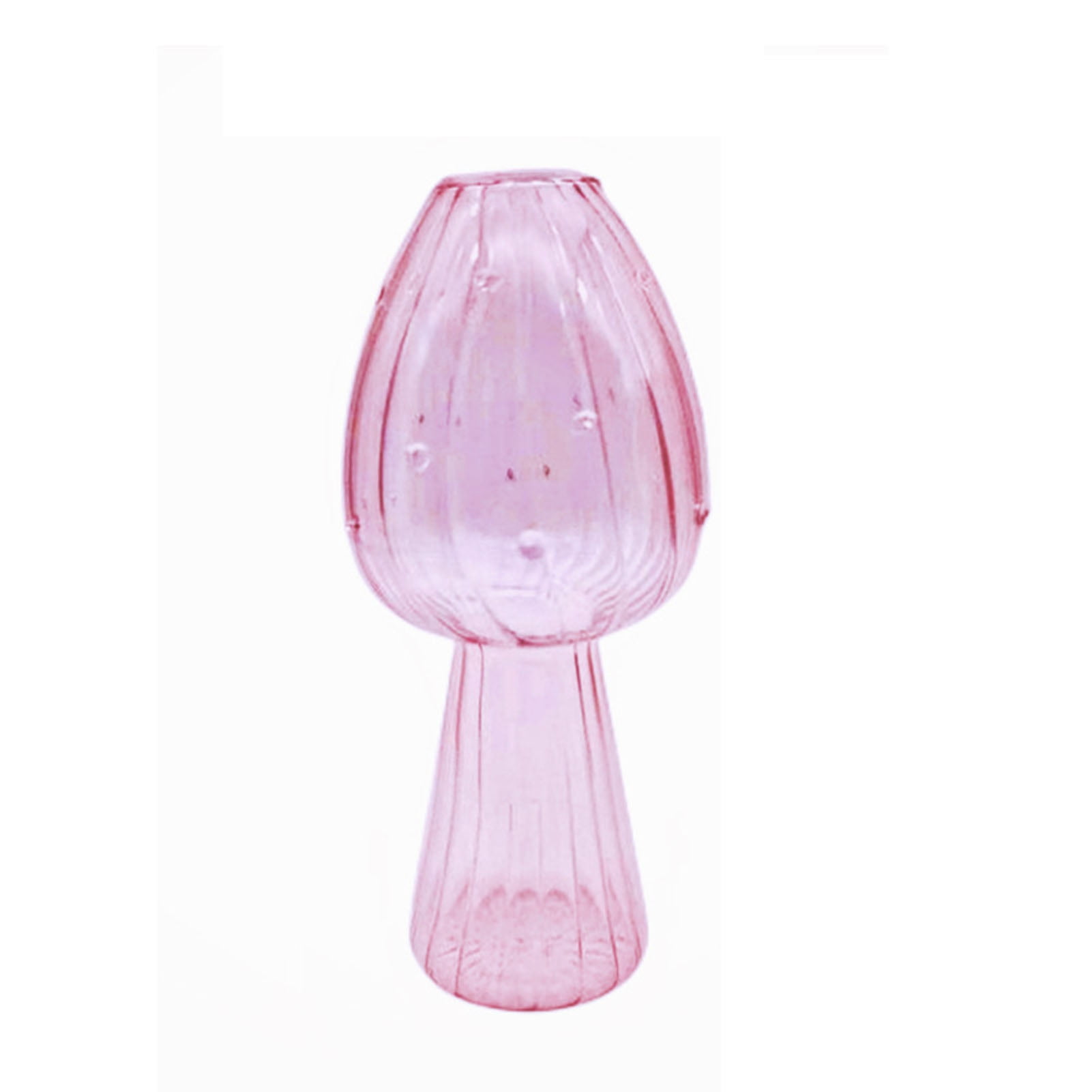 Waroomhouse Single Stem Flower Vase Glass Flower Vase Transparent Glass