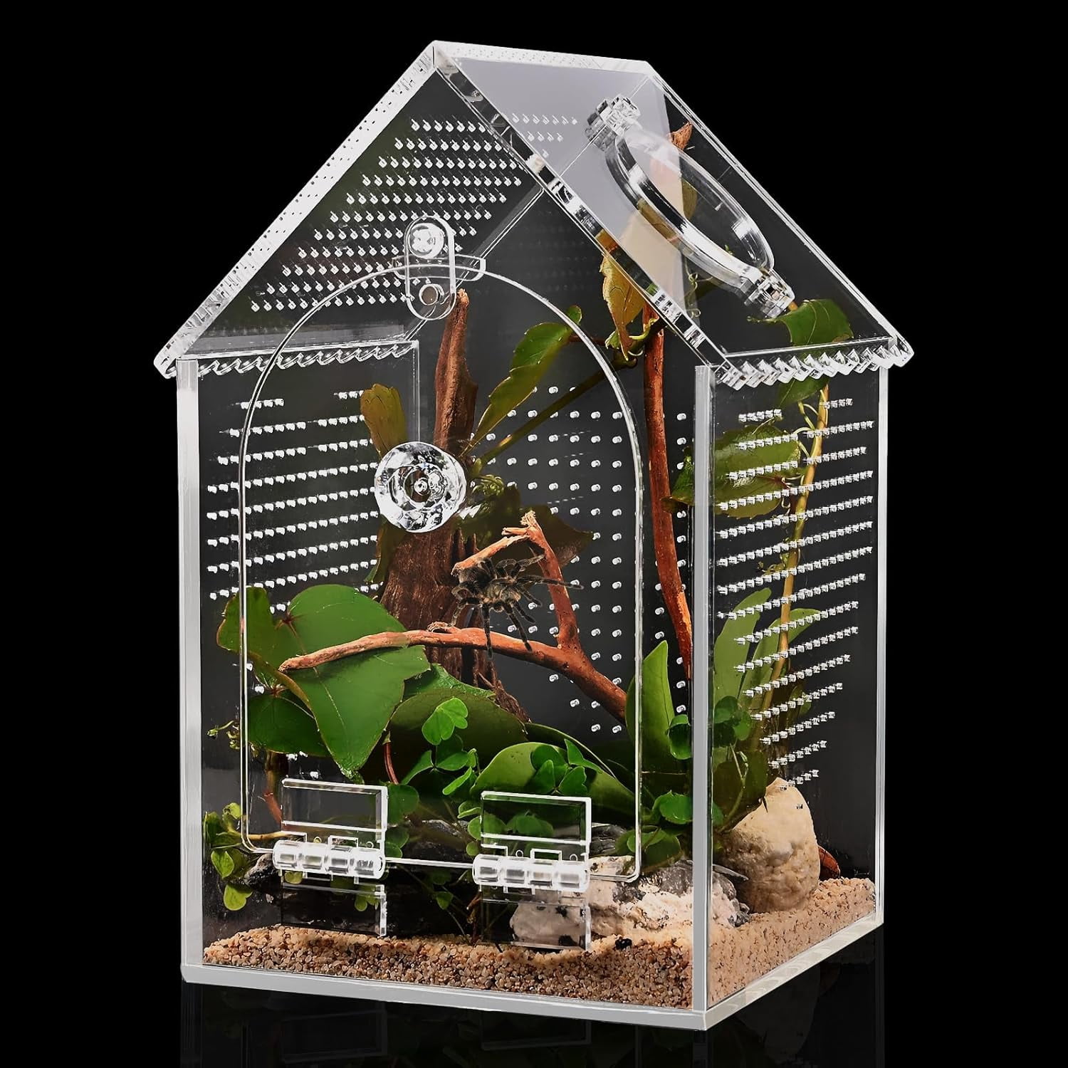 Warp-Proof Acrylic Spider Enclosure, Front Opening Terrarium with Feeding Port for Jumping Spiders, Mantis, Micro Reptiles