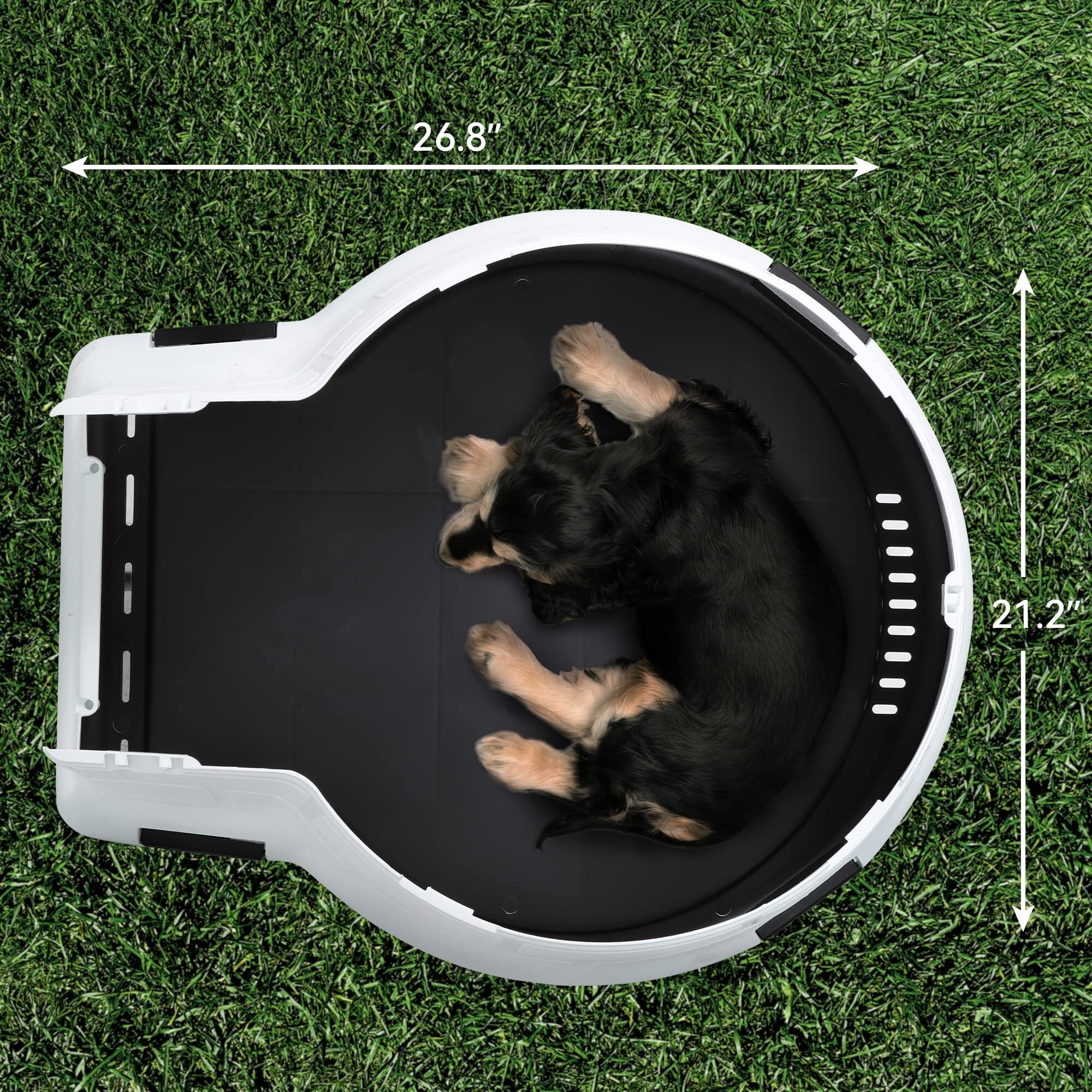 Warranty Company Moasis Plastic Igloo Dog House, Insulated Doghouse