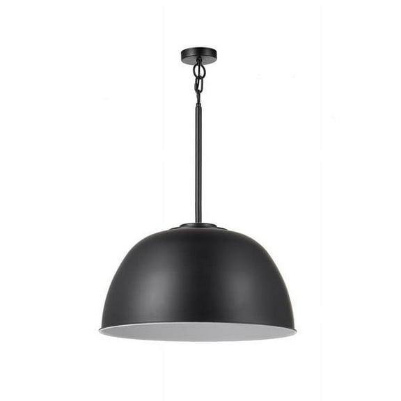 Warren 1-Light Matte Black Pendant Light with White Interior and CEC Title 20 LED Bulb Included