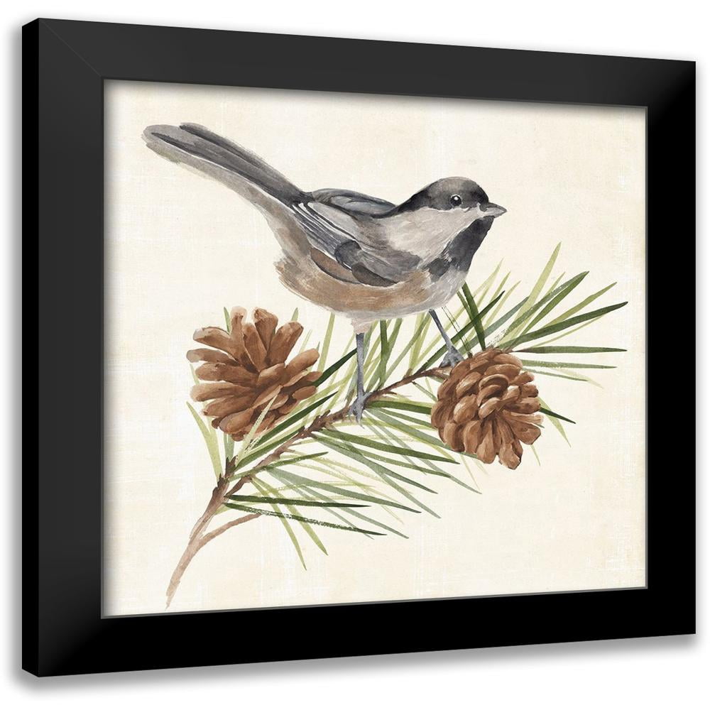 12" x 12" Black Framed Canvas Print of Bird on Pine Branch