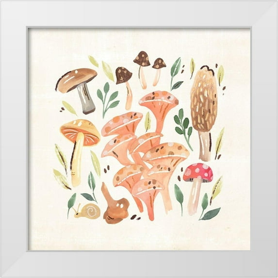 Warren, Annie 12x12 White Modern Wood Framed Museum Art Print Titled - Fungi Field Trip IV