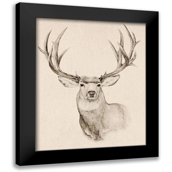 Warren, Annie 12x14 Black Modern Framed Museum Art Print Titled - Natural Buck II