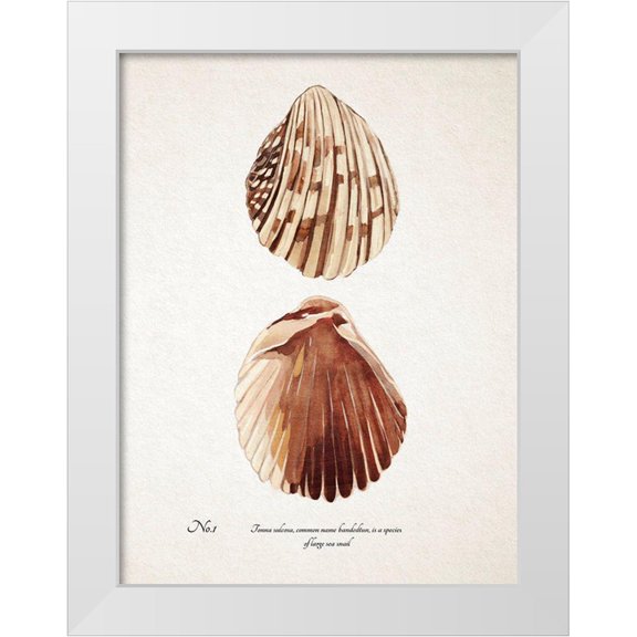 Warren, Annie 12x14 White Modern Wood Framed Museum Art Print Titled - Sienna Shell Collector I