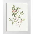 thumbnail image 1 of Warren, Annie 12x14 White Modern Wood Framed Museum Art Print Titled - Single Sprig IV, 1 of 4