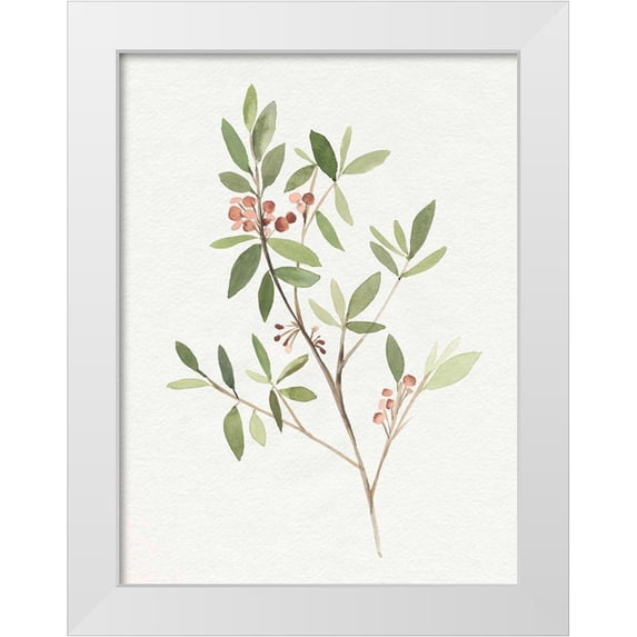 Warren, Annie 12x14 White Modern Wood Framed Museum Art Print Titled - Single Sprig IV