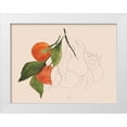 thumbnail image 1 of Warren, Annie 14x12 White Modern Wood Framed Museum Art Print Titled - Tangerine Sketch II, 1 of 4