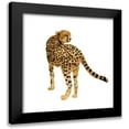 thumbnail image 1 of Warren, Annie 15x15 Black Modern Framed Museum Art Print Titled - Golden Cheetah II, 1 of 5