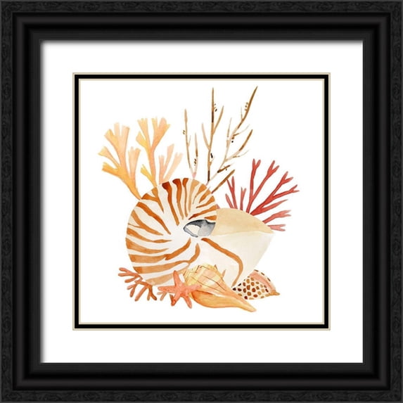 Warren, Annie 15x15 Black Ornate Wood Framed with Double Matting Museum Art Print Titled - Nautilus Grouping II