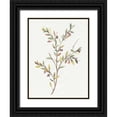 thumbnail image 1 of Warren, Annie 15x18 Black Ornate Wood Framed with Double Matting Museum Art Print Titled - Single Sprig II, 1 of 4