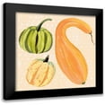 thumbnail image 1 of Warren, Annie 20x20 Black Modern Framed Museum Art Print Titled - Decorative Gourd I, 1 of 5