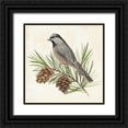 thumbnail image 1 of Warren, Annie 20x20 Black Ornate Wood Framed with Double Matting Museum Art Print Titled - Pine Branch II, 1 of 4
