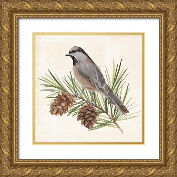 Warren, Annie 20x20 Gold Ornate Wood Framed with Double Matting Museum Art Print Titled - Pine Branch II