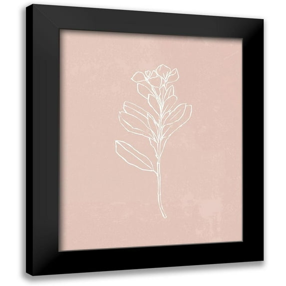 Warren, Annie 20x24 Black Modern Framed Museum Art Print Titled - Blush Bloom I