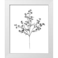 thumbnail image 1 of Warren, Annie 20x24 White Modern Wood Framed Museum Art Print Titled - Field Flower IV, 1 of 4