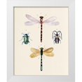 thumbnail image 1 of Warren, Annie 20x24 White Modern Wood Framed Museum Art Print Titled - Insect Varieties I, 1 of 4