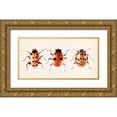 thumbnail image 1 of Warren, Annie 24x14 Gold Ornate Wood Framed with Double Matting Museum Art Print Titled - Ladybug Display II, 1 of 4