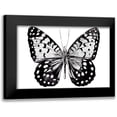 thumbnail image 1 of Warren, Annie 24x17 Black Modern Framed Museum Art Print Titled - Monochrome Wings Whole I, 1 of 5