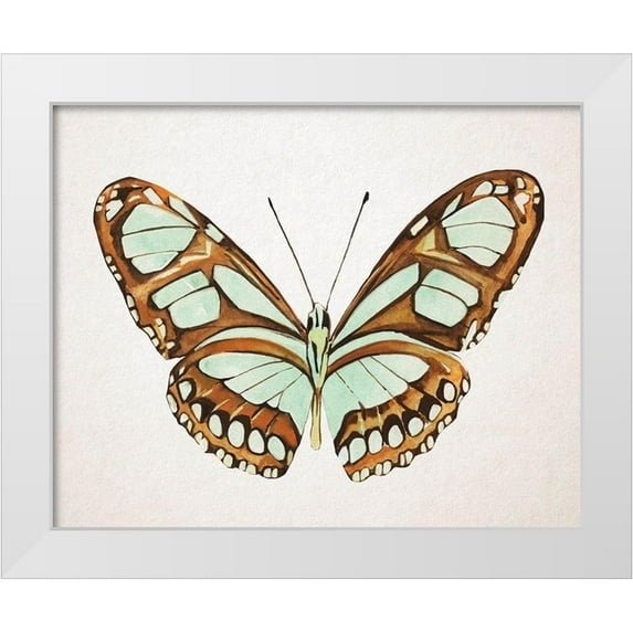 Warren, Annie 24x20 White Modern Wood Framed Museum Art Print Titled - Mint Butterfly I