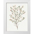 thumbnail image 1 of Warren, Annie 25x32 White Modern Wood Framed Museum Art Print Titled - Single Sprig III, 1 of 4