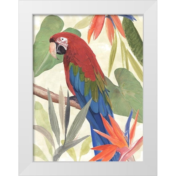 Warren, Annie 25x32 White Modern Wood Framed Museum Art Print Titled - Tropical Parrot Composition III