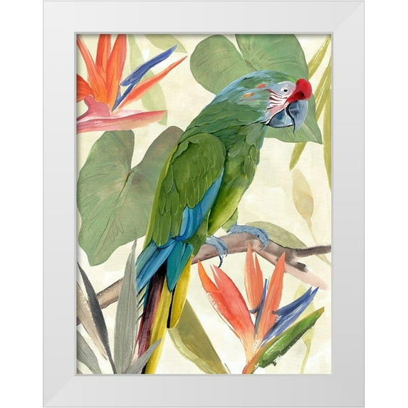 Warren, Annie 25x32 White Modern Wood Framed Museum Art Print Titled - Tropical Parrot Composition I