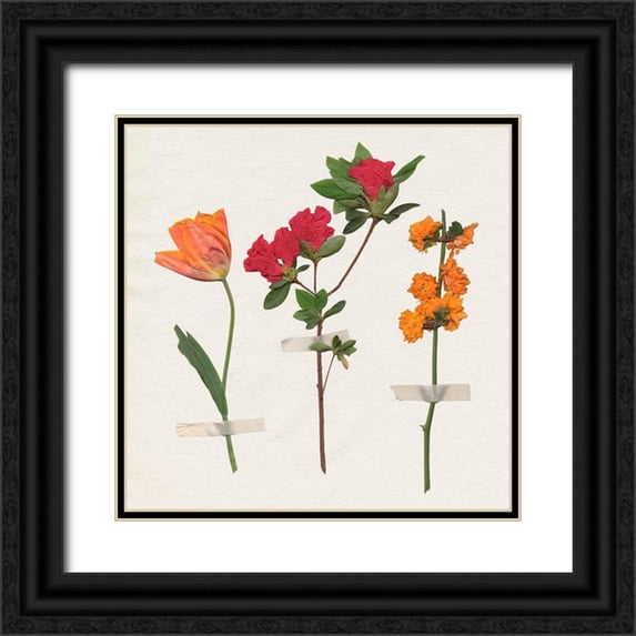 Warren, Annie 26x26 Black Ornate Wood Framed with Double Matting Museum Art Print Titled - Backyard Variety II