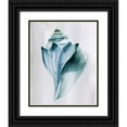 thumbnail image 1 of Warren, Annie 26x32 Black Ornate Wood Framed with Double Matting Museum Art Print Titled - Soft Ocean Gems I, 1 of 4