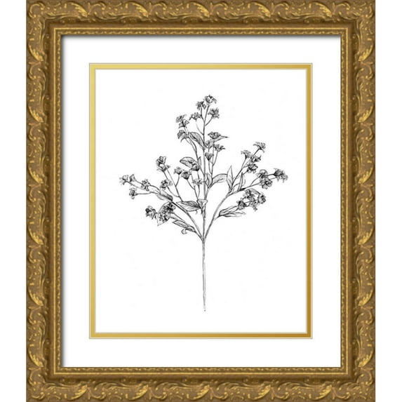 Warren, Annie 26x32 Gold Ornate Wood Framed with Double Matting Museum Art Print Titled - Field Flower IV