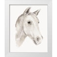 thumbnail image 1 of Warren, Annie 26x32 White Modern Wood Framed Museum Art Print Titled - Ivory Stallion I, 1 of 4