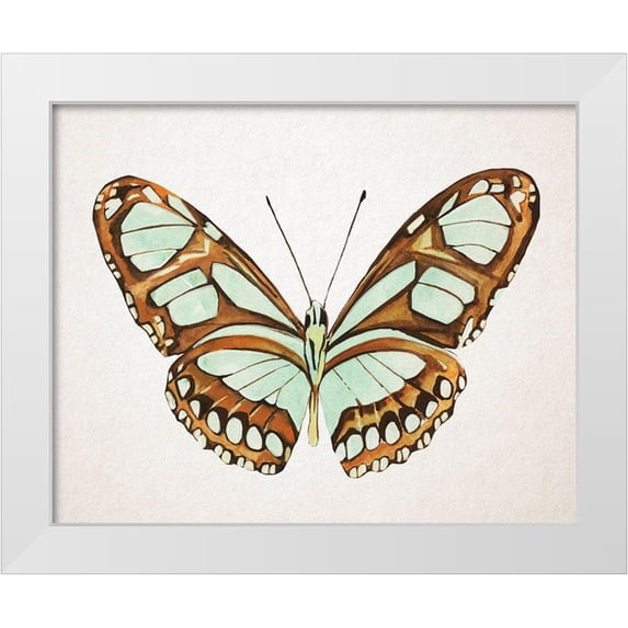 Warren, Annie 32x26 White Modern Wood Framed Museum Art Print Titled - Mint Butterfly I