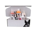 thumbnail image 1 of Warren London 8-Piece Dog Gift Box, 1 of 10