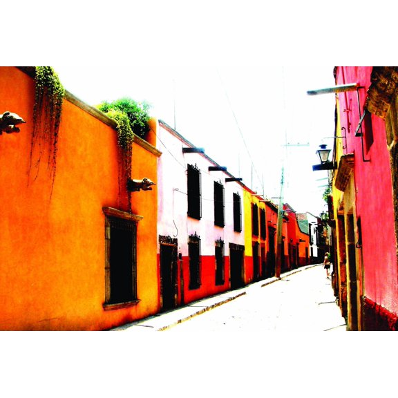 Warren Mexico XVI Glossy Poster