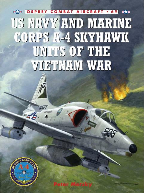 Warrior: Pictish Warrior AD 297-841 (Series #50) (Paperback)