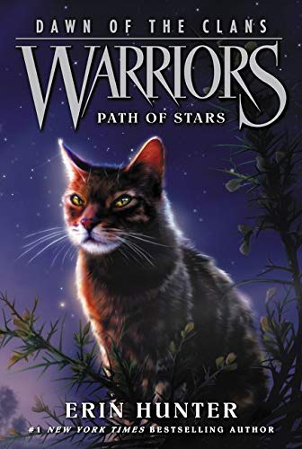 Warriors-Dawn-of-the-Clans-6-