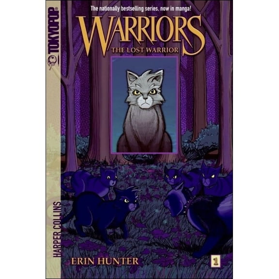 Warriors Graphic Novels The Lost Warrior, Book 01, (Hardcover)