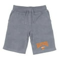 thumbnail image 1 of Wartburg College Knights Premium Shorts, Heather Grey - Large, 1 of 1